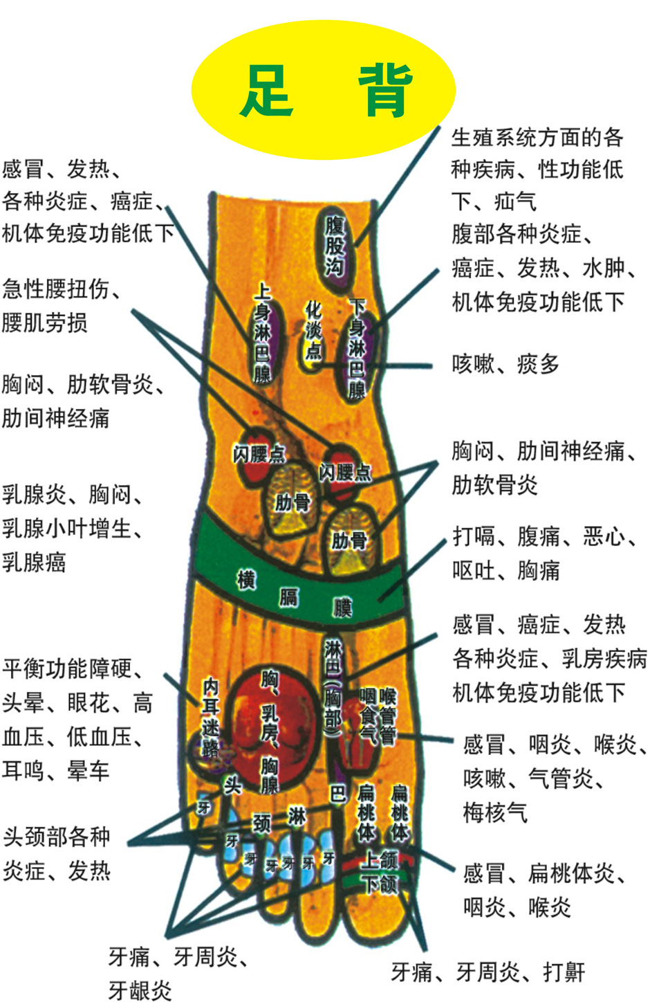 尤蜜荟综合尤果网