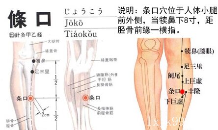 条口穴位位置图