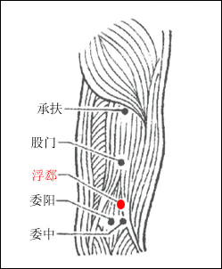 浮郄穴位置图浮郄穴的作用浮欷穴