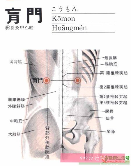 肓门穴穴位位置图,肓门穴的作用