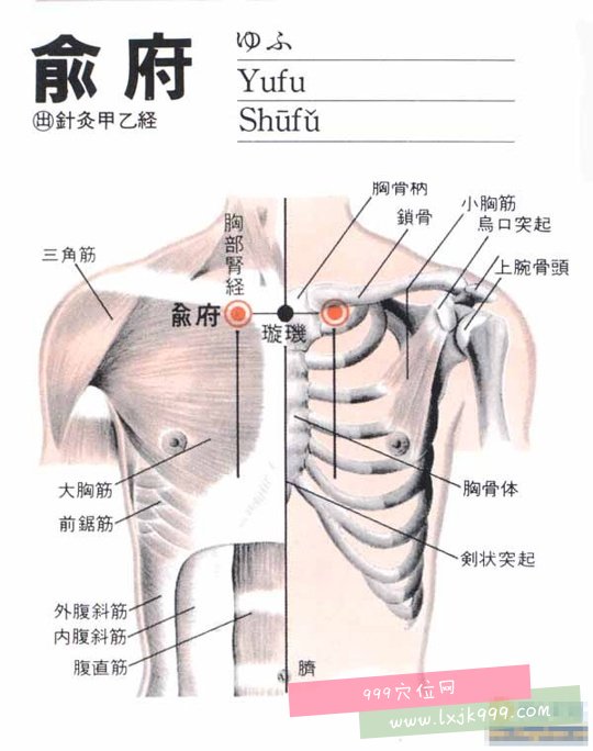 取仰卧位,在锁骨下可触及一凹陷,于胸骨中线与锁骨中线连线的中点处