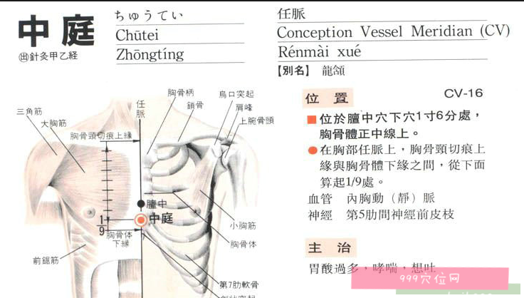 剑胸结合中点图片