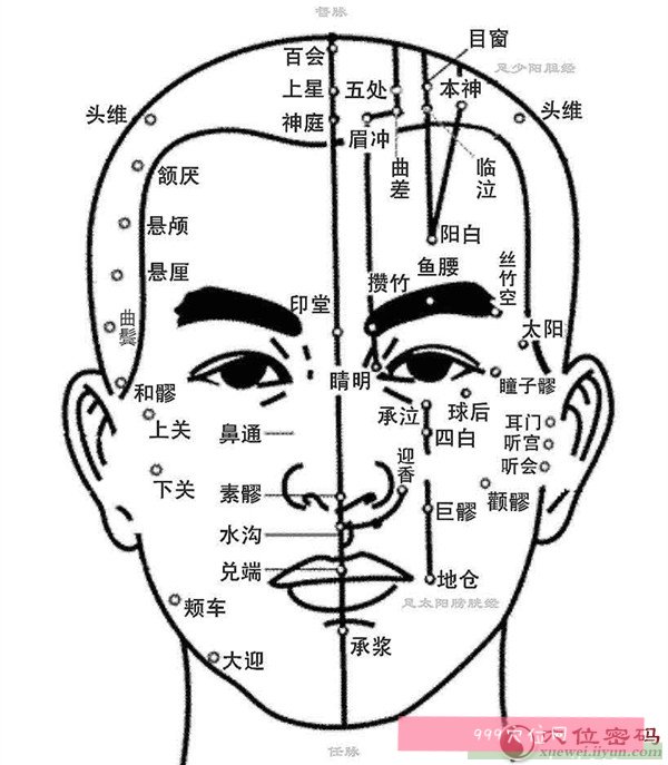 面部穴位图解大全 按摩脸部穴位图 彩图脸上穴位图