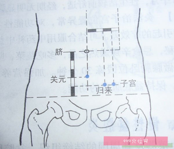 子宫针灸位置示意图图片