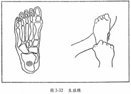 生殖腺反射区图：足部反射区脚底生殖器脚部生殖器官