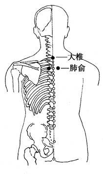 大椎 准确位置图 肺俞图片