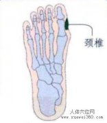 颈椎在足部的反射区脚上颈椎反射区